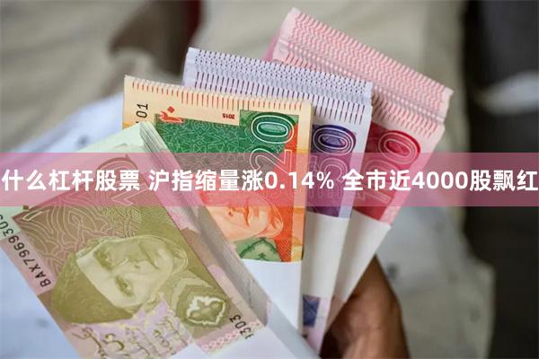 什么杠杆股票 沪指缩量涨0.14% 全市近4000股飘红