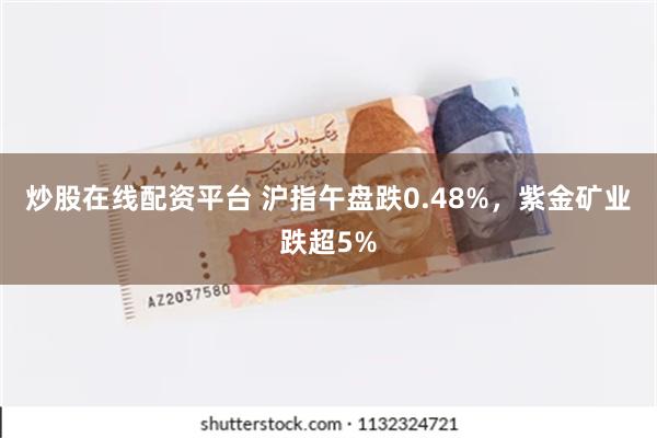 炒股在线配资平台 沪指午盘跌0.48%，紫金矿业跌超5%