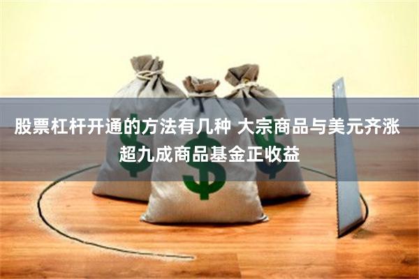 股票杠杆开通的方法有几种 大宗商品与美元齐涨 超九成商品基金正收益