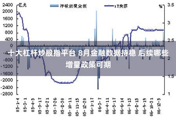 十大杠杆炒股指平台 8月金融数据持稳 后续哪些增量政策可期