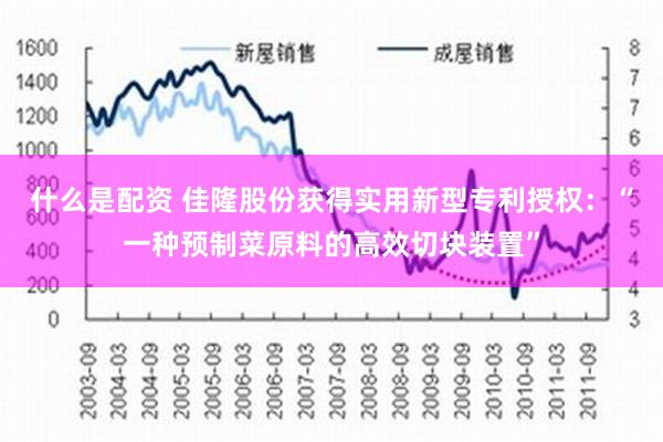 什么是配资 佳隆股份获得实用新型专利授权：“一种预制菜原料的高效切块装置”