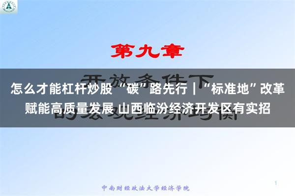 怎么才能杠杆炒股 “碳”路先行｜“标准地”改革赋能高质量发展 山西临汾经济开发区有实招