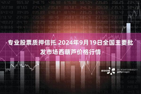 专业股票质押信托 2024年9月19日全国主要批发市场西葫芦价格行情