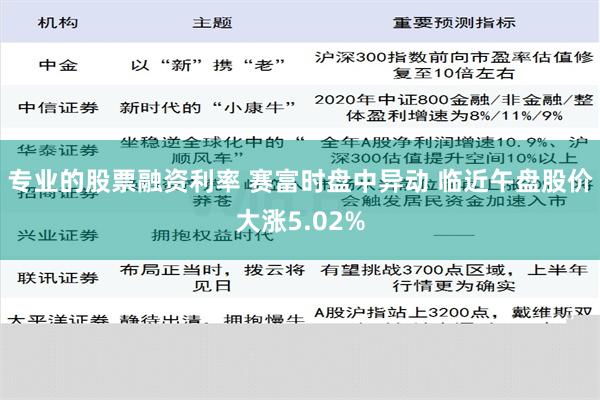 专业的股票融资利率 赛富时盘中异动 临近午盘股价大涨5.02%