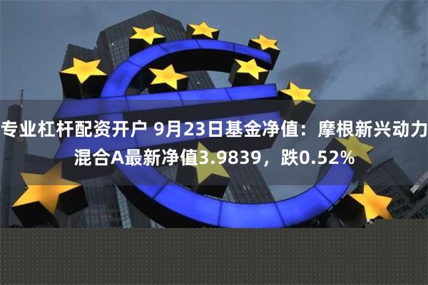 专业杠杆配资开户 9月23日基金净值：摩根新兴动力混合A最新净值3.9839，跌0.52%