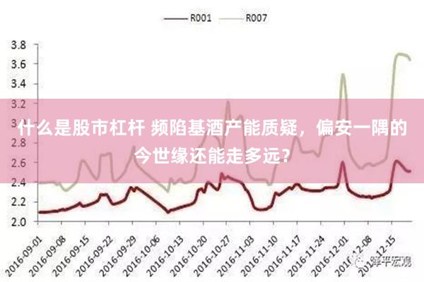 什么是股市杠杆 频陷基酒产能质疑，偏安一隅的今世缘还能走多远？