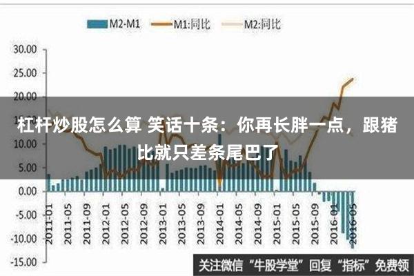 杠杆炒股怎么算 笑话十条：你再长胖一点，跟猪比就只差条尾巴了