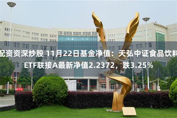 配资资深炒股 11月22日基金净值：天弘中证食品饮料ETF联接A最新净值2.2372，跌3.25%