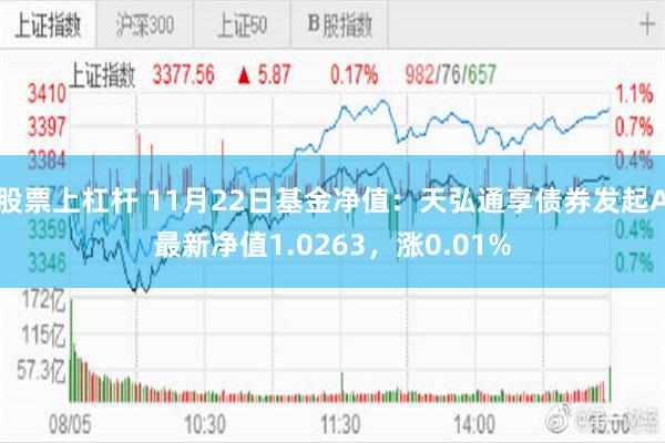 股票上杠杆 11月22日基金净值：天弘通享债券发起A最新净值1.0263，涨0.01%