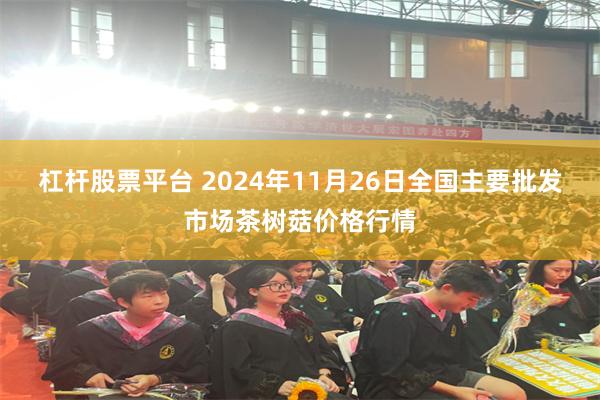 杠杆股票平台 2024年11月26日全国主要批发市场茶树菇价格行情