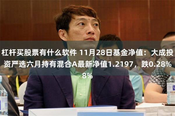 杠杆买股票有什么软件 11月28日基金净值：大成投资严选六月持有混合A最新净值1.2197，跌0.28%