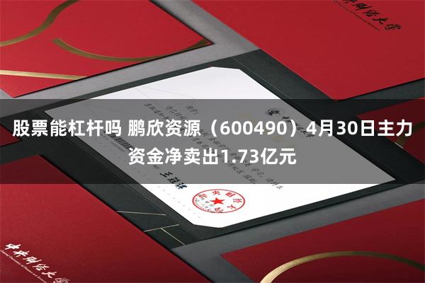 股票能杠杆吗 鹏欣资源（600490）4月30日主力资金净卖出1.73亿元